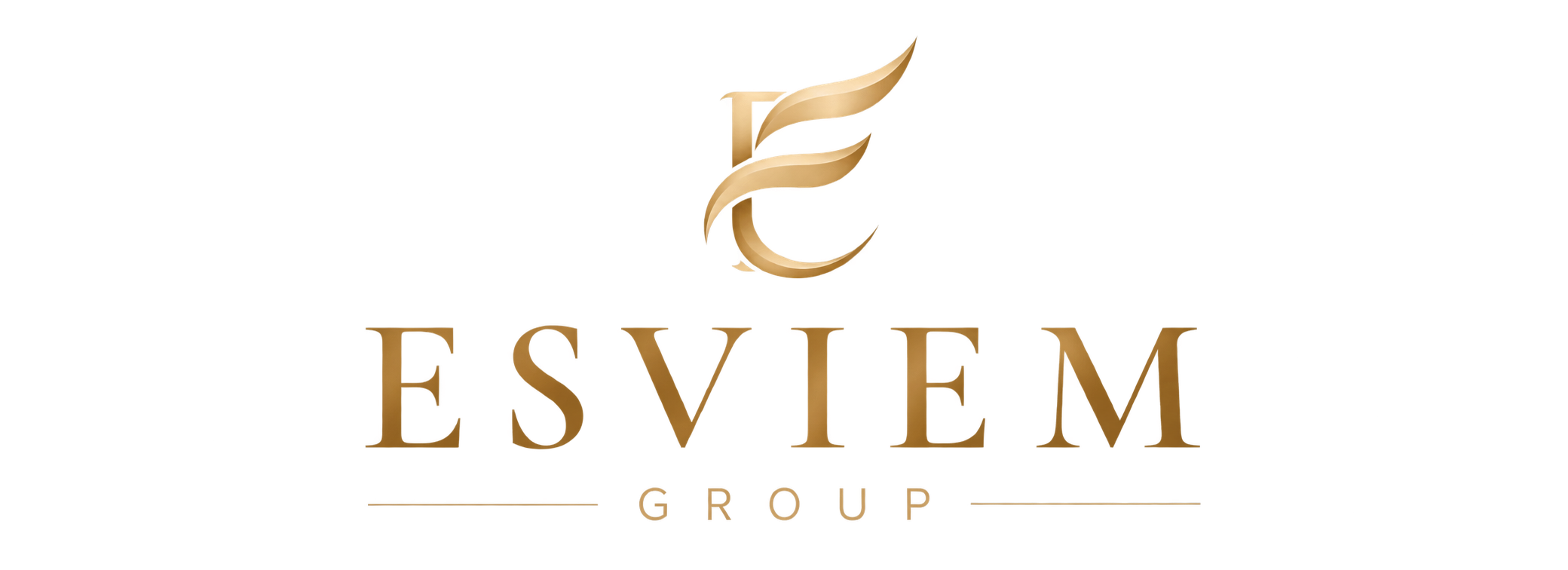 ESVIEM GROUP
